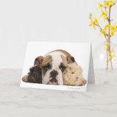 Engelse bulldog puppy (4 maanden oud) en twee guin kaart (Gele Bloem)