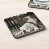 Engelse bulldog Puppy Bier Onderzetter (Linkerzijde)