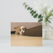 Engelse Bulldog puppy biting kussen Briefkaart (Staand voorkant)