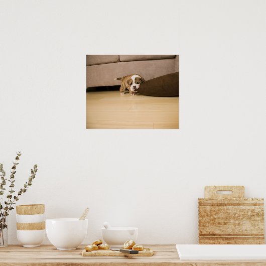 Engelse Bulldog puppy biting kussen Poster (Keuken)