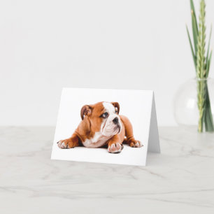Engelse Bulldog Puppy Blank Note Kaart