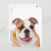 Engelse bulldog puppy briefkaart (Voorkant / Achterkant)