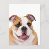 Engelse bulldog puppy briefkaart (Voorkant)