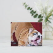 Engelse bulldog Puppy Briefkaart (Staand voorkant)
