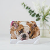 Engelse bulldog Puppy Briefkaart (Staand voorkant)