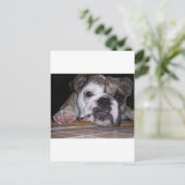 Engelse bulldog Puppy Briefkaart (Staand voorkant)