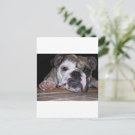 Engelse bulldog Puppy Briefkaart (Staand voorkant)