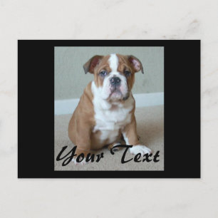 Engelse bulldog Puppy Briefkaart