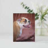Engelse bulldog Puppy Briefkaart (Staand voorkant)