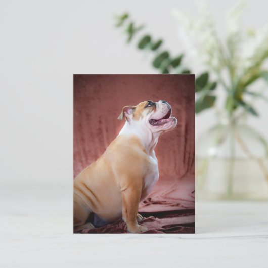 Engelse bulldog Puppy Briefkaart (Staand voorkant)