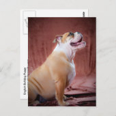 Engelse bulldog Puppy Briefkaart (Voorkant / Achterkant)