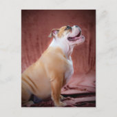 Engelse bulldog Puppy Briefkaart (Voorkant)