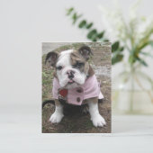 Engelse bulldog Puppy Briefkaart (Staand voorkant)