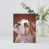 Engelse bulldog Puppy Briefkaart (Staand voorkant)