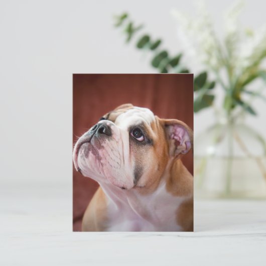 Engelse bulldog Puppy Briefkaart (Staand voorkant)