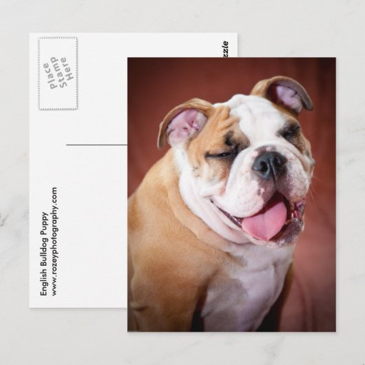 Engelse bulldog Puppy Briefkaart (Voorkant / Achterkant)