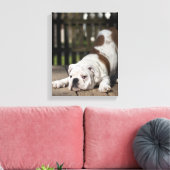 Engelse bulldog Puppy Canvas Afdruk (Insitu (Woonkamer))