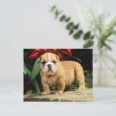 Engelse Bulldog Puppy Dog Blank Briefkaart (Staand voorkant)