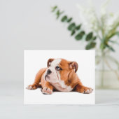 Engelse Bulldog Puppy Dog Blank Briefkaart (Staand voorkant)