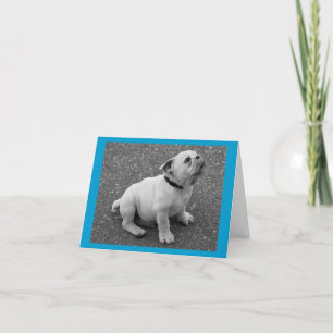 Engelse Bulldog Puppy Dog Blank Greet Note Card Kaart
