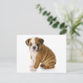 Engelse Bulldog Puppy Dog Blank Greeting Briefkaar Briefkaart (Staand voorkant)