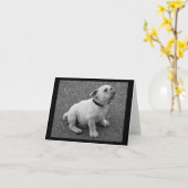 Engelse Bulldog Puppy Dog Blank Greeting Note Kaar Kaart (Gele Bloem)