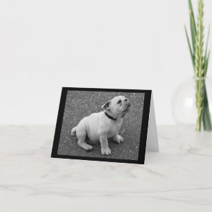 Engelse Bulldog Puppy Dog Blank Greeting Note Kaar Kaart