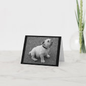 Engelse Bulldog Puppy Dog Blank Greeting Note Kaar Kaart (Voorkant)