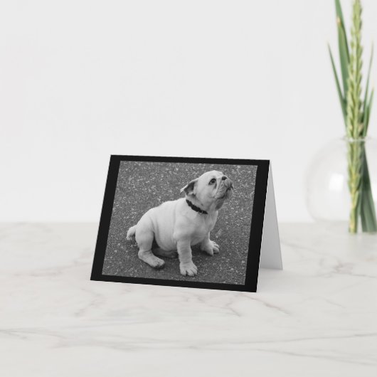 Engelse Bulldog Puppy Dog Blank Greeting Note Kaar Kaart (Voorkant)