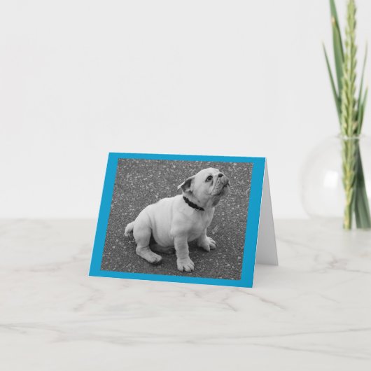 Engelse Bulldog Puppy Dog Blank Greeting Note Kaar Kaart (Voorkant)