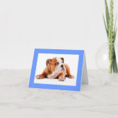 Engelse Bulldog Puppy Dog Blank Note Kaart (Voorkant)