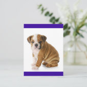 Engelse Bulldog Puppy Dog Blue Blank Briefkaart (Staand voorkant)