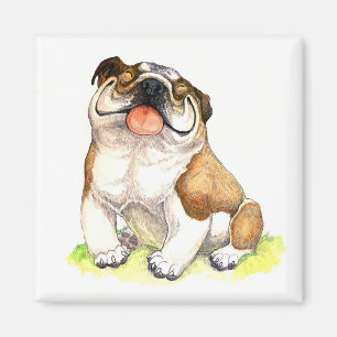 Engelse Bulldog Puppy Dog Cartoon Magnet