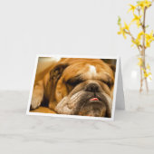 Engelse Bulldog Puppy Dog Denken aan je Kaart (Gele Bloem)