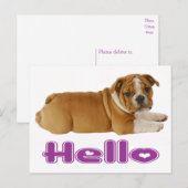 Engelse Bulldog Puppy Dog - Hallo Paars hart Briefkaart (Voorkant / Achterkant)
