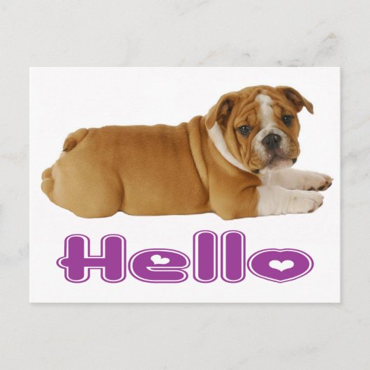Engelse Bulldog Puppy Dog - Hallo Paars hart Briefkaart (Voorkant)
