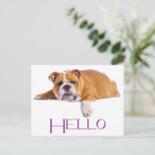 Engelse Bulldog Puppy Dog - Paarse Hallo Briefkaart (Staand voorkant)