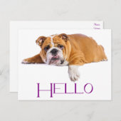 Engelse Bulldog Puppy Dog - Paarse Hallo Briefkaart (Voorkant / Achterkant)