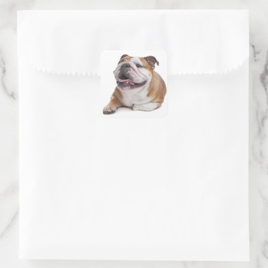Engelse Bulldog Puppy Dog Sticker (Tas)