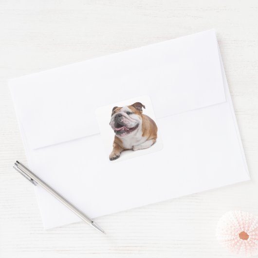 Engelse Bulldog Puppy Dog Sticker (Envelop)