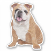 Engelse Bulldog Puppy Dog Sticker (Voorkant)