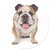 Engelse Bulldog Puppy Dog Sticker / Seal