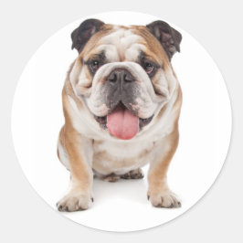 Engelse Bulldog Puppy Dog Sticker / Seal