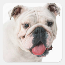 Engelse Bulldog Puppy Dog Sticker / Seal