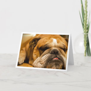 Engelse Bulldog Puppy Dog Thinking of You Card Kaart