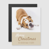 Engelse Bulldog Puppy Foto Kerstmagneet Kaart (Voorkant / Achterkant)