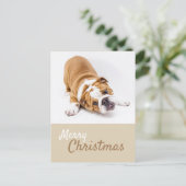 Engelse Bulldog Puppy Foto Kerstmis Aangepast Feestdagenkaart (Staand voorkant)