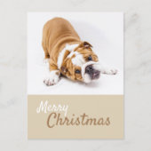 Engelse Bulldog Puppy Foto Kerstmis Aangepast Feestdagenkaart (Voorkant)