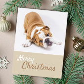 Engelse Bulldog Puppy Foto Kerstmis Aangepast Feestdagenkaart