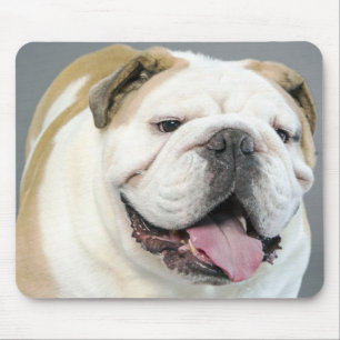 Engelse Bulldog Puppy Hond Canine Muismat